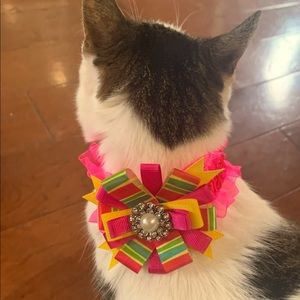 Pet Collar Bow and pink ruffle elastic